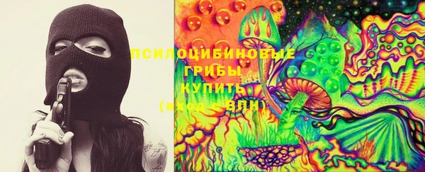 стаф Богданович