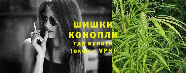 стаф Богданович