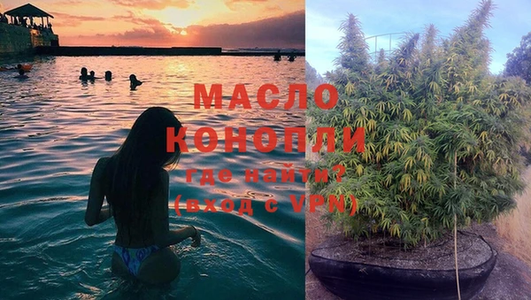 стаф Богданович
