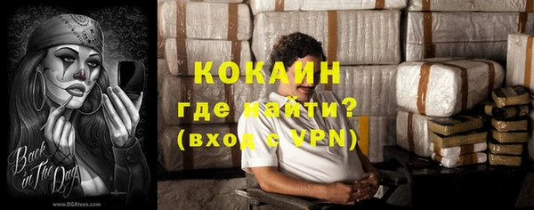 стаф Богданович
