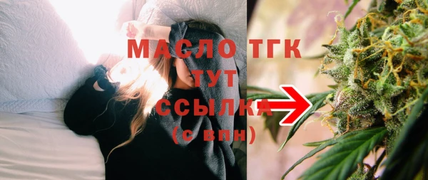 стаф Богданович