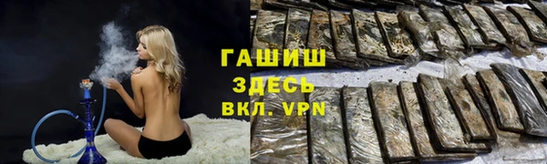 стаф Богданович