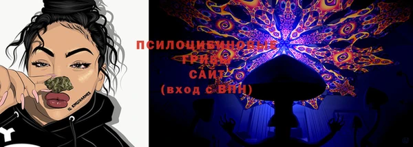 спиды Богородск
