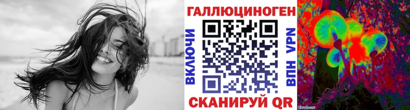 Галлюциногенные грибы Psilocybe  гидра вход  Макаров 
